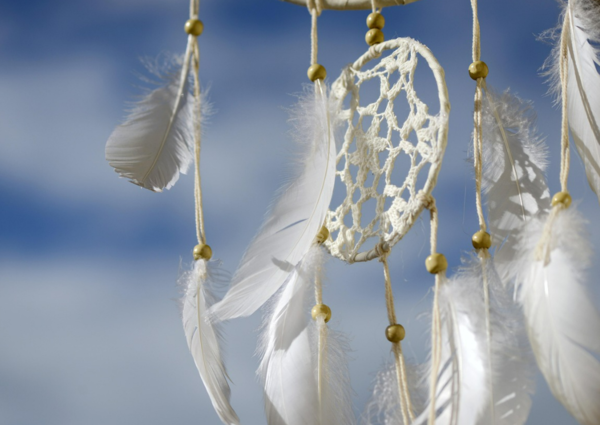 연예인-나오는-꿈