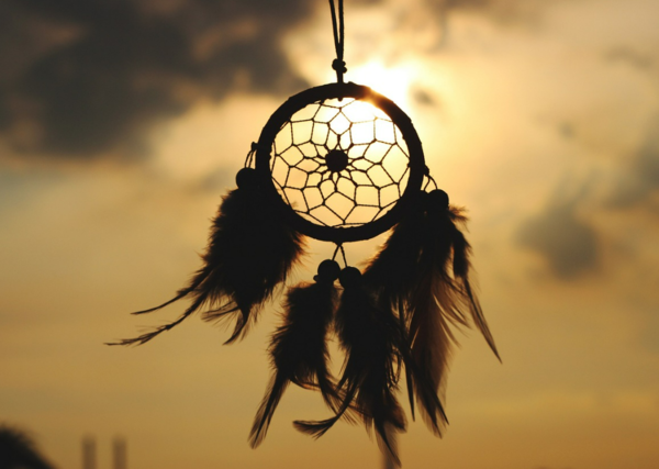 연예인-나오는-꿈