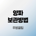 양파보관방법