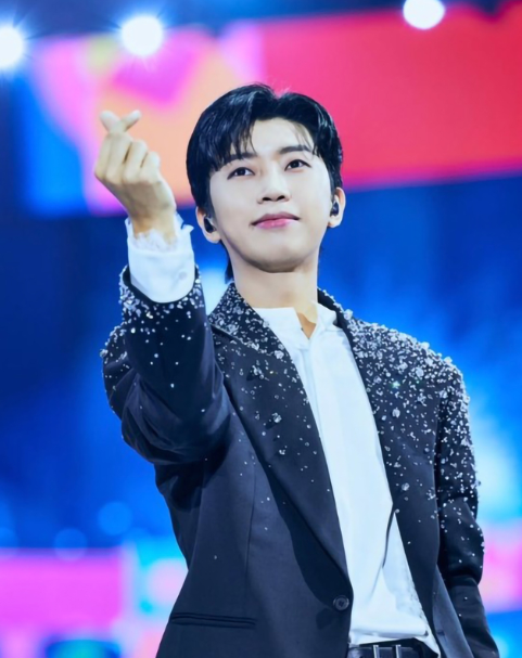 임영웅-본명-노래