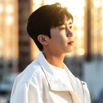 임영웅-본명-노래