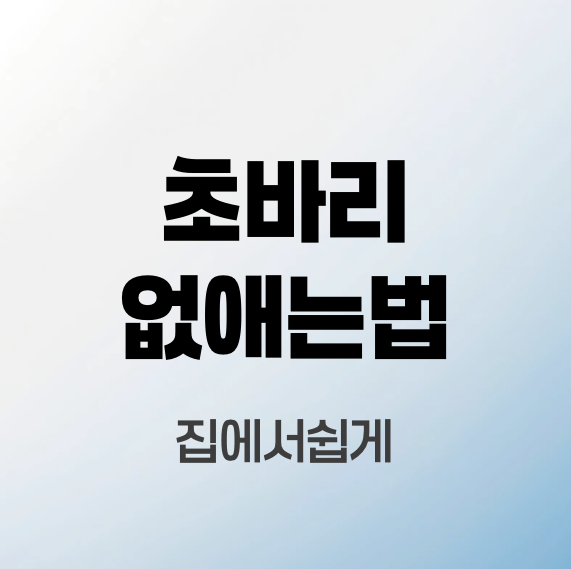초파리-없애는법
