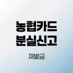 농협카드-분실신고