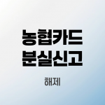 농협카드-분실신고